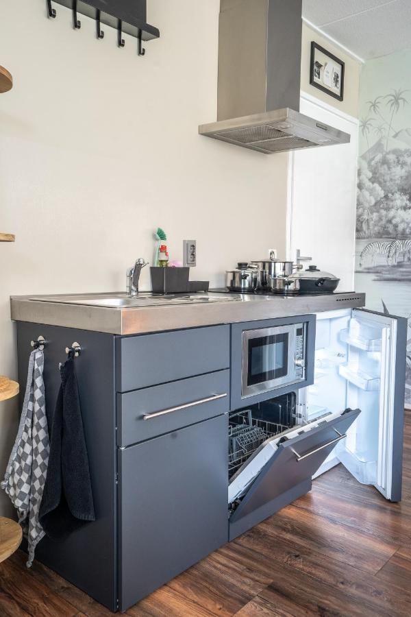 The Lion King - 6 Person Linked Apartment With Roof Terrace Groningen Eksteriør billede